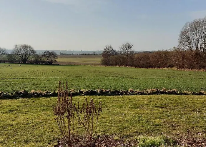 Vakantiehuis Schlei-rose *